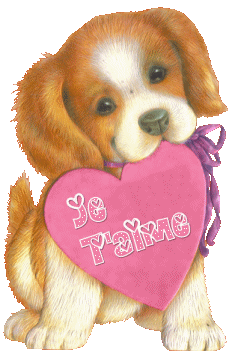 c mon chien